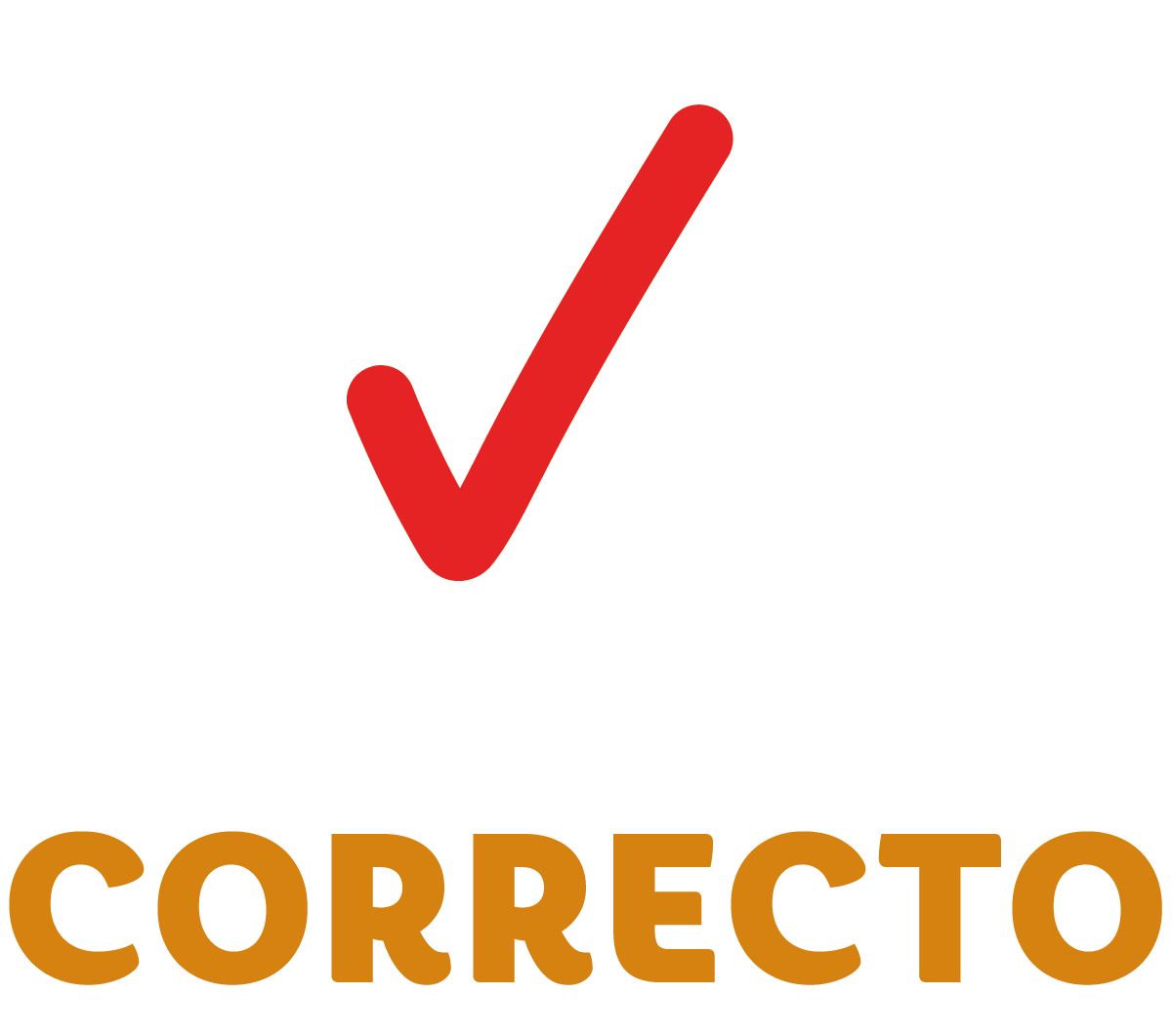 Icono Correcto